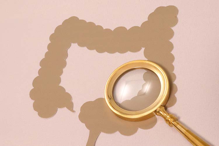 下部消化管内視鏡カメラ（大腸カメラ）のイメージ写真