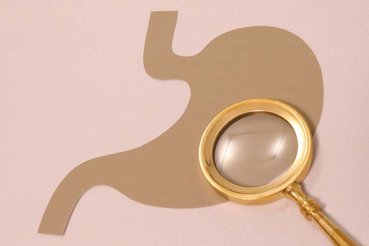 上部消化管内視鏡カメラ（胃カメラ）のイメージ写真